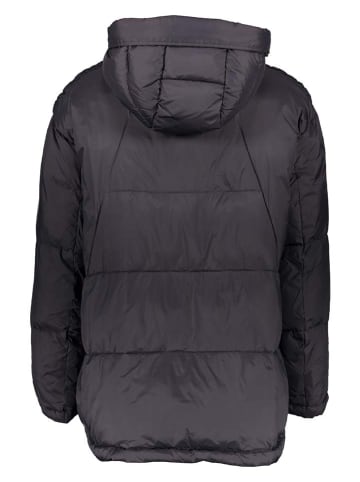 Winterjas "Greenwood" donkerblauw
