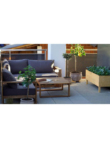 LED-Tischleuchte "Pina" in Beige - EEK G (A bis G)