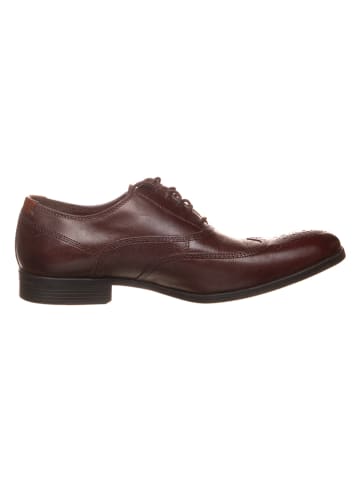 Leder-Schnürschuhe ''Gilmore Wing'' in Dunkelbraun