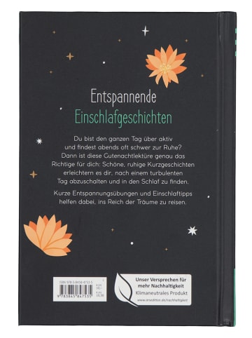 Erzählung "Gutenachtgeschichten für Alltagsheldinnen