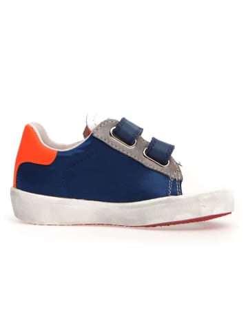 Sneakersy "Annie" w kolorze granatowym ze wzorem