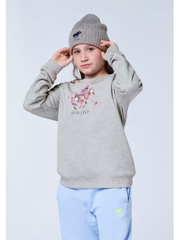 Sweatshirt in Grau