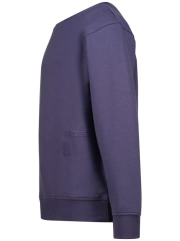 Sweatshirt paars