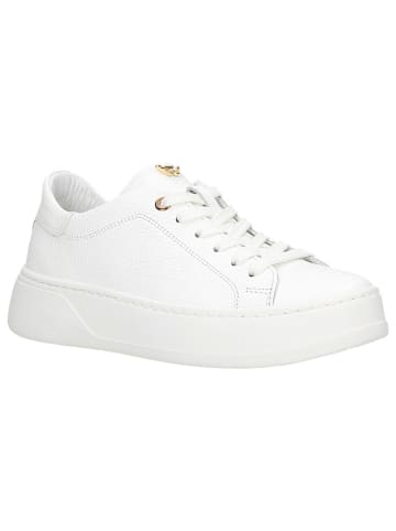 Skórzane sneakersy w kolorze białym