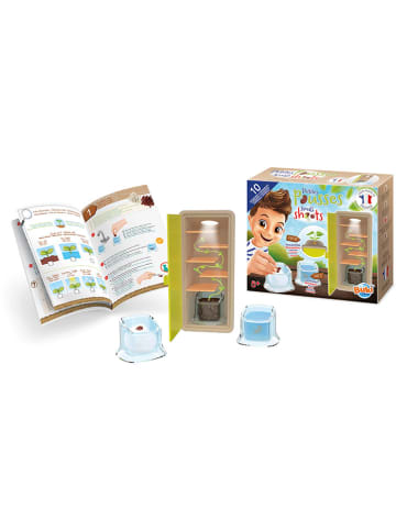 Keimset "Small shoots" - ab 5 Jahren