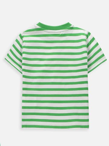 Shirt in Grün/ Weiß