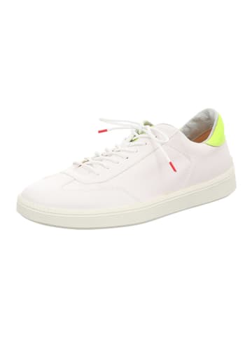 Leder-Sneakers in Weiß