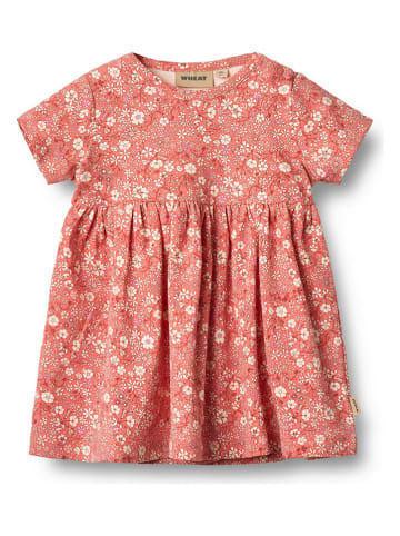 Kleid "Nova" in Orange/ Creme