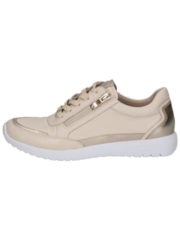 Leder-Sneakers in Beige/ Gold