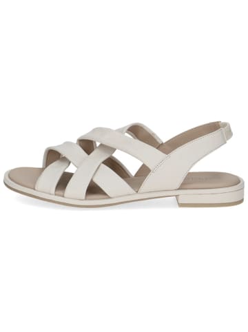 Leder-Sandalen in Creme