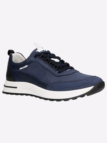 Leder-Sneakers in Dunkelblau