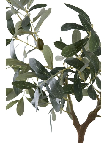 Sztuczna roślina "Olive Tree" w kolorze zielonym - wys. 61 cm