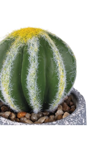 Kunstpflanze "Cactus" in Grün/ Grau - (H)15 cm