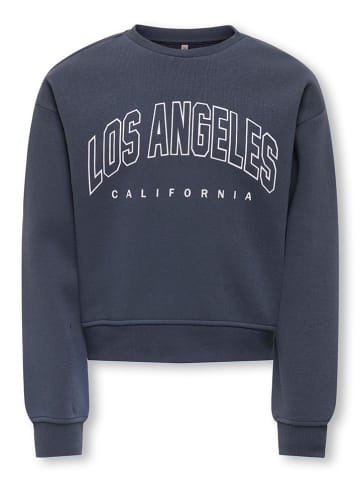 Sweatshirt in Dunkelbalu