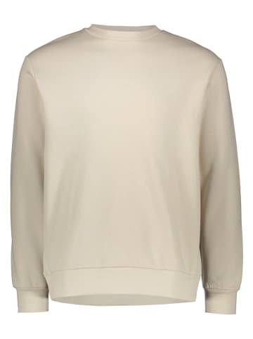Sweatshirt in Beige
