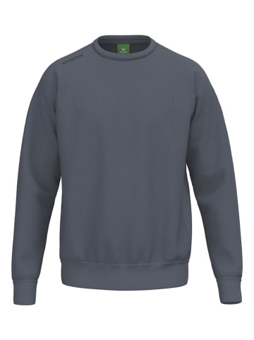 Sweatshirt in Grau