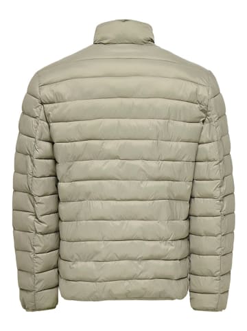 Steppjacke "Gavin" in Beige