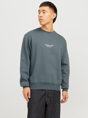 Sweatshirt in Grau