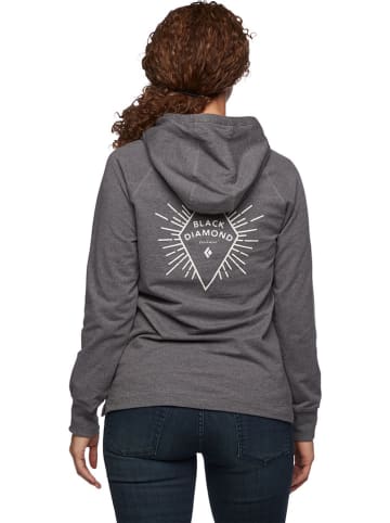 Hoodie "Rays" grijs