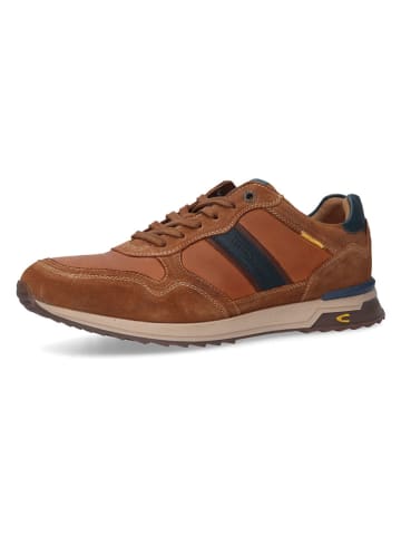 Leren sneakers lichtbruin/blauw