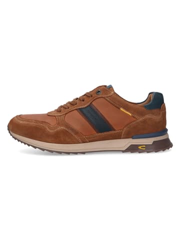 Leder-Sneakers in Hellbraun/ Blau