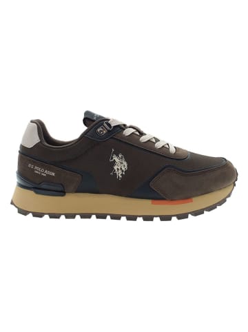 Sneakersy w kolorze brązowym