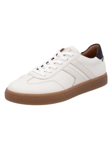 Leder-Sneakers in Weiß/ Schwarz