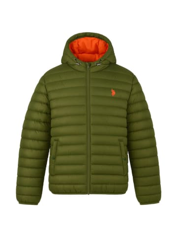 Steppjacke in Oliv
