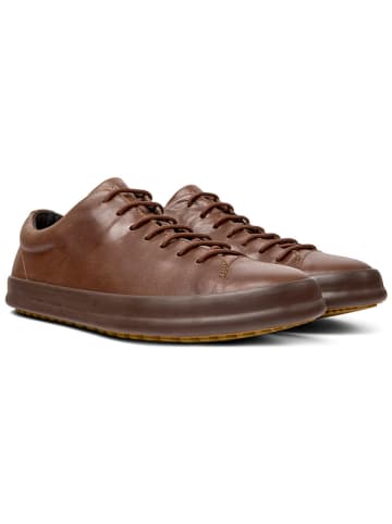 Leder-Sneakers in Braun