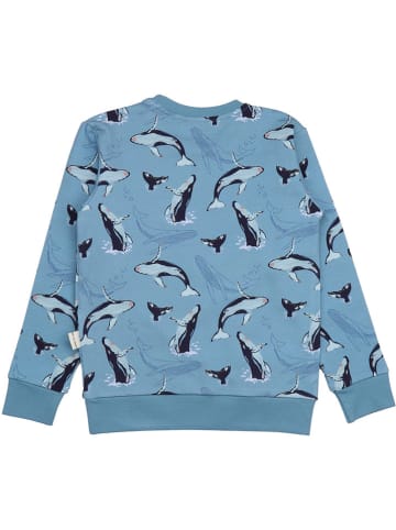 Sweatshirt in Hellblau