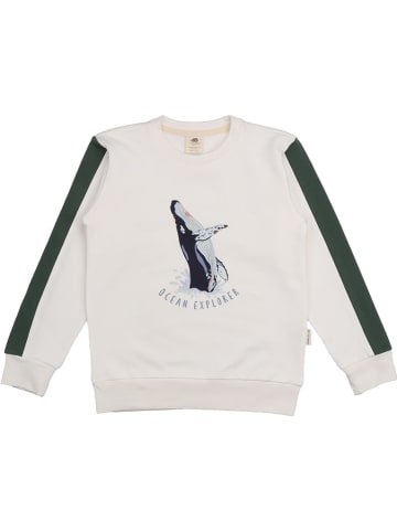 Sweatshirt wit/groen