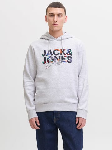 Hoodie "Geplas" in Grau