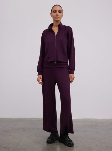 Broek paars
