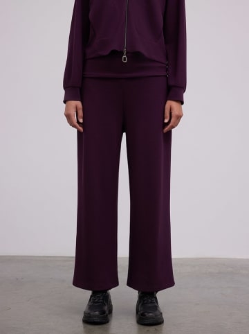 Broek paars