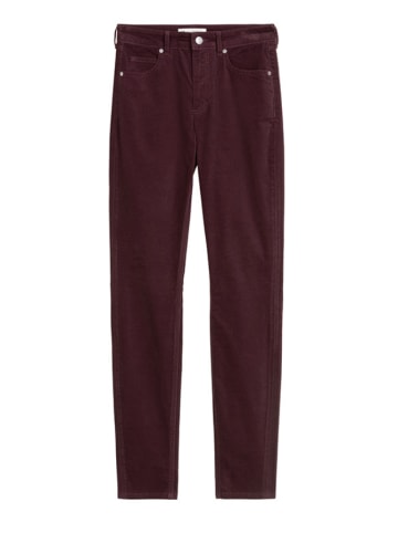 Broek bordeaux