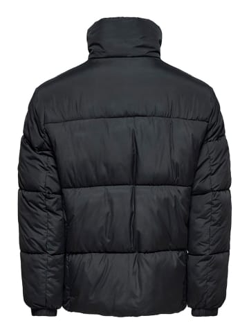 Winterjacke "David" in Schwarz