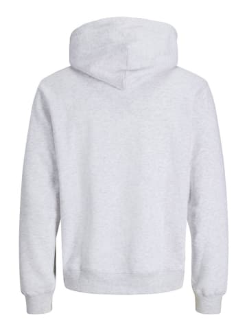 Hoodie in Grau