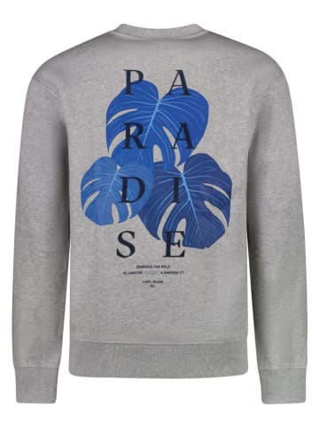 Sweatshirt "Diso" in Grau