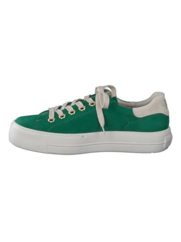 Leren sneakers groen