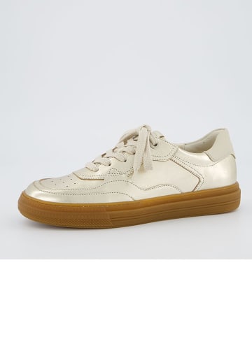 Leder-Sneakers in Gold