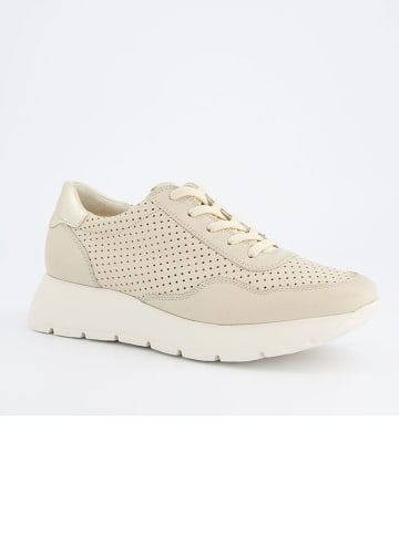 Leder-Sneakers in Beige