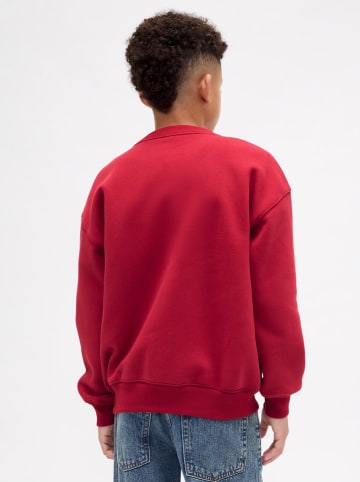 Sweatshirt in Rot