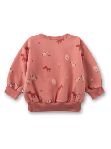 Bluza w kolorze pomarańczowym