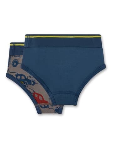 2er-Set: Slips in Blau/ Grau