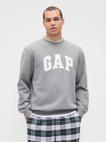 Sweatshirt in Grau