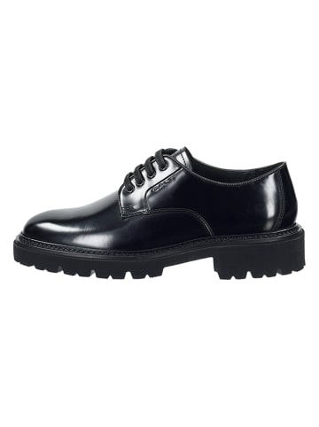 Leder-Schnürschuhe "Ivyhill" in Schwarz