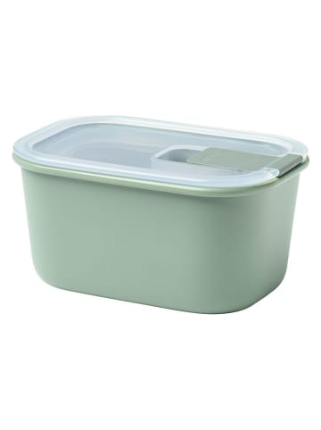 Pojemnik w kolorze zielonym - 450 ml