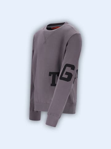Sweatshirt "Siebe" in Grau