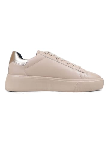 Sneakers "Cary" in Rosa