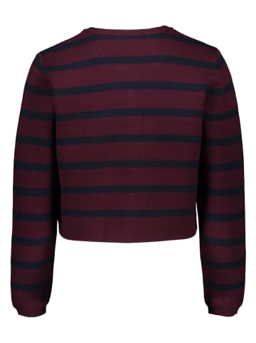 Vest bordeaux/donkerblauw
